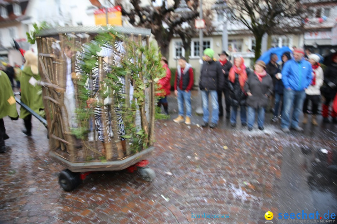 Fasnetsumzug - Fasching: Langenargen am Bodensee, 10.01.2016