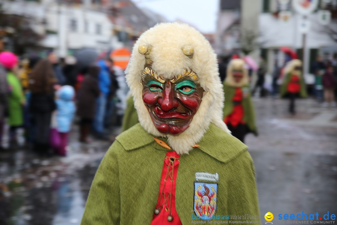 Fasnetsumzug - Fasching: Langenargen am Bodensee, 10.01.2016