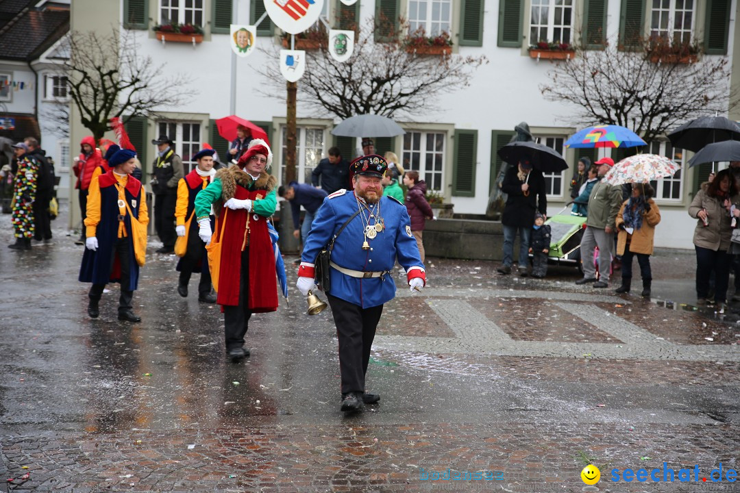 Fasnetsumzug - Fasching: Langenargen am Bodensee, 10.01.2016