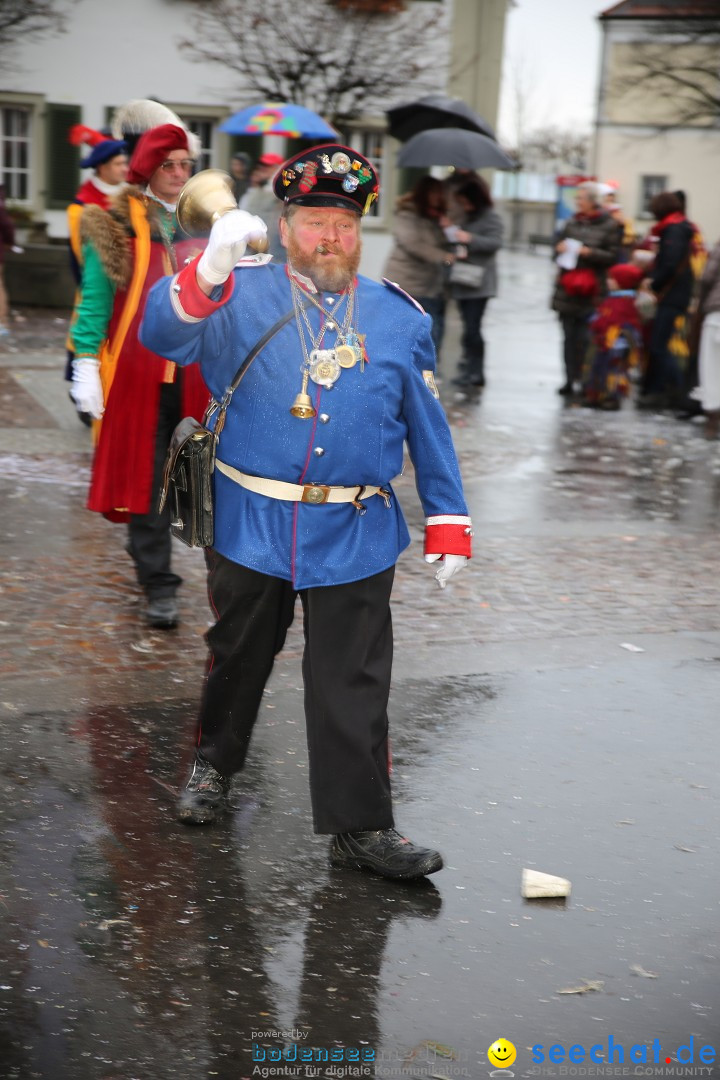 Fasnetsumzug - Fasching: Langenargen am Bodensee, 10.01.2016