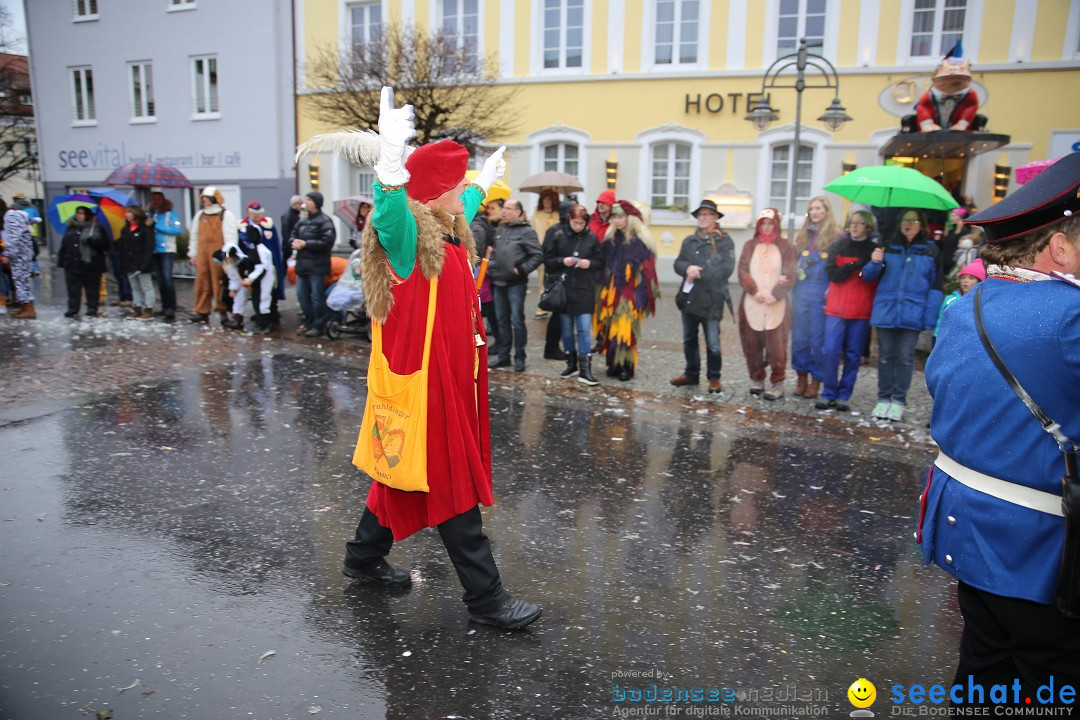 Fasnetsumzug - Fasching: Langenargen am Bodensee, 10.01.2016