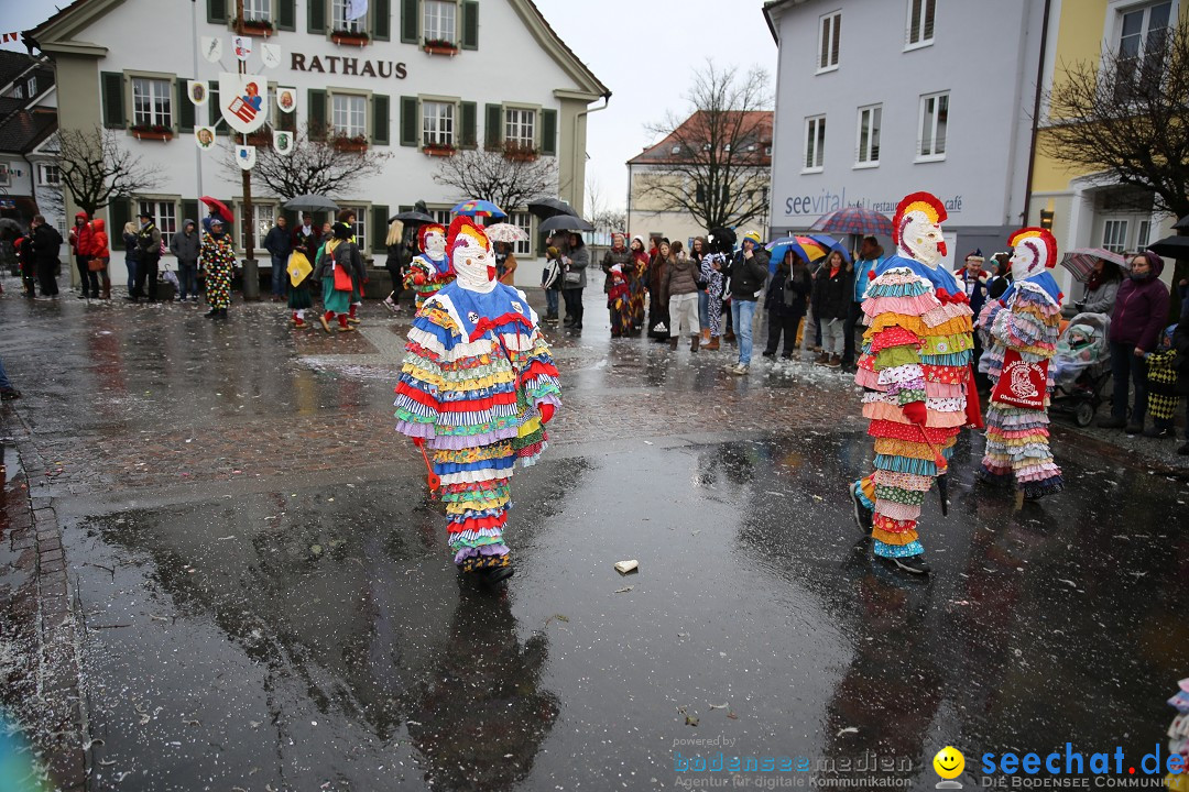 Fasnetsumzug - Fasching: Langenargen am Bodensee, 10.01.2016