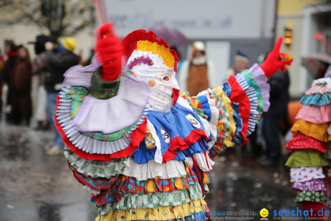 Fasnetsumzug - Fasching: Langenargen am Bodensee, 10.01.2016