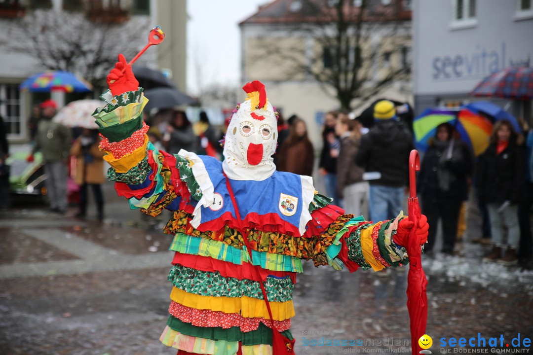 Fasnetsumzug - Fasching: Langenargen am Bodensee, 10.01.2016