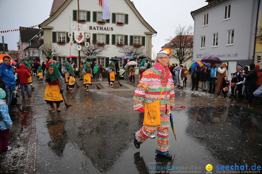 Fasnetsumzug - Fasching: Langenargen am Bodensee, 10.01.2016