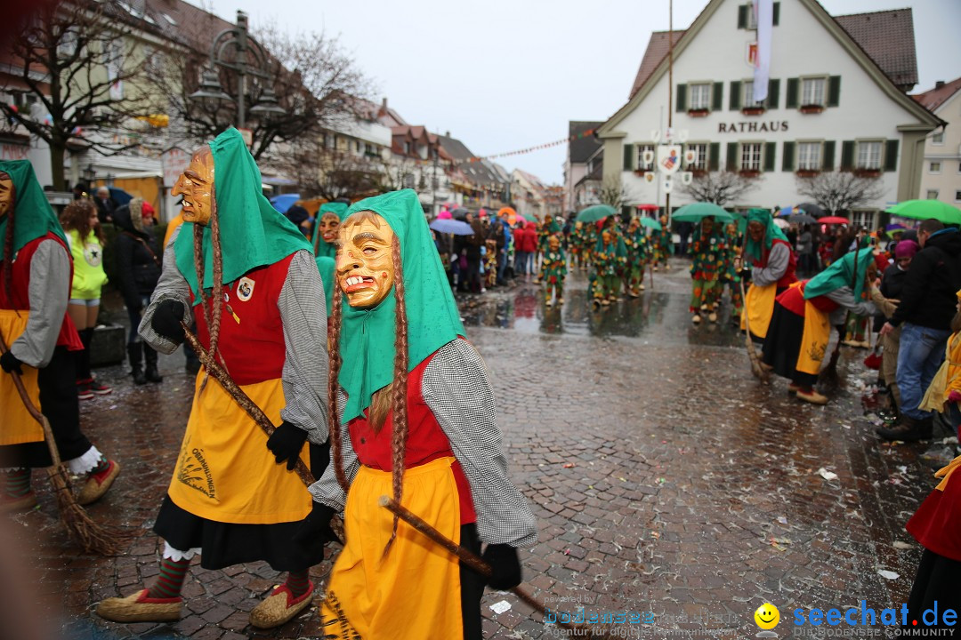 Fasnetsumzug - Fasching: Langenargen am Bodensee, 10.01.2016