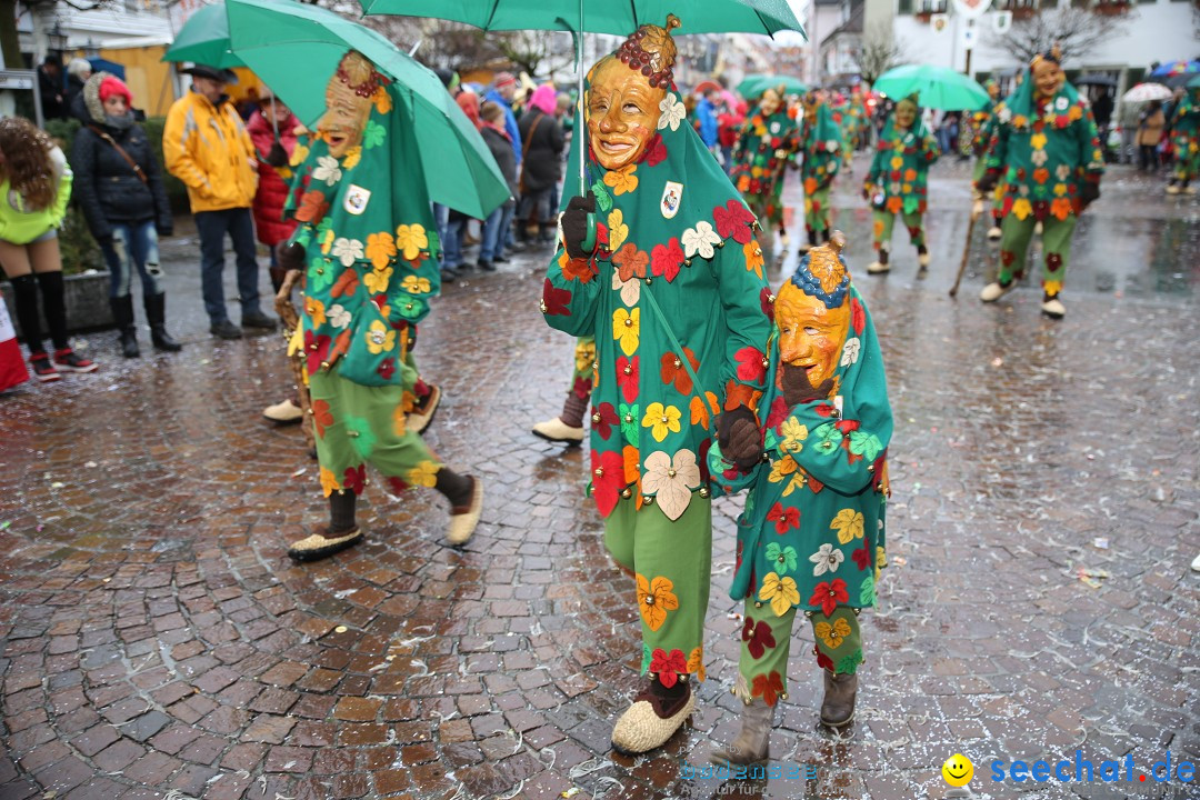 Fasnetsumzug - Fasching: Langenargen am Bodensee, 10.01.2016