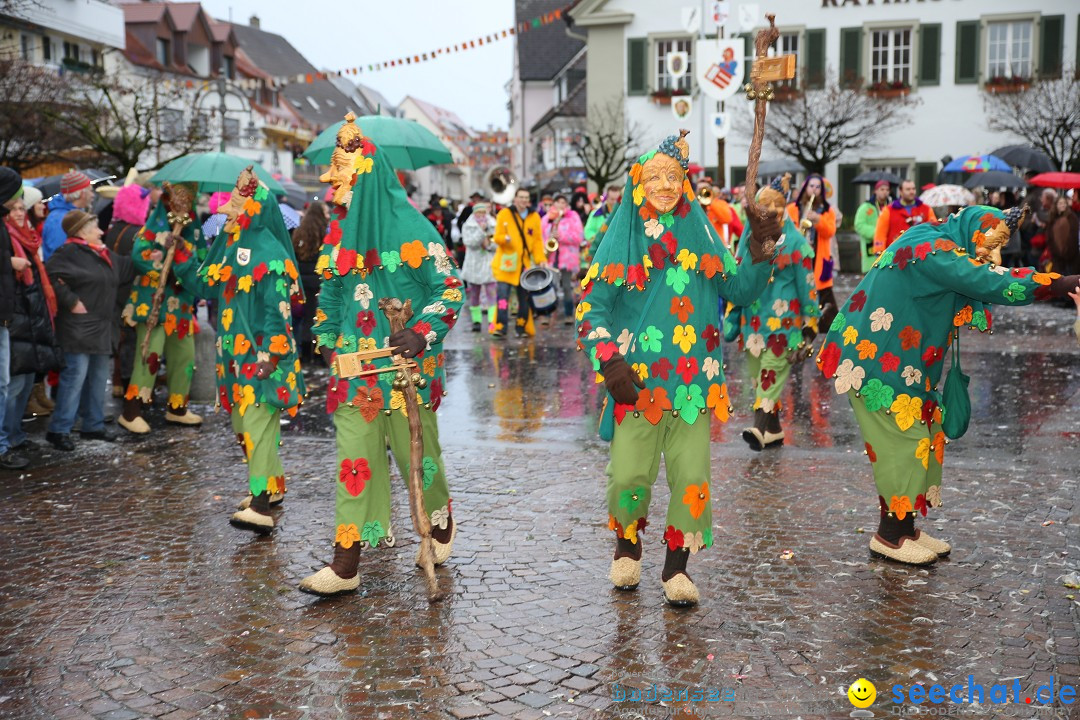 Fasnetsumzug - Fasching: Langenargen am Bodensee, 10.01.2016