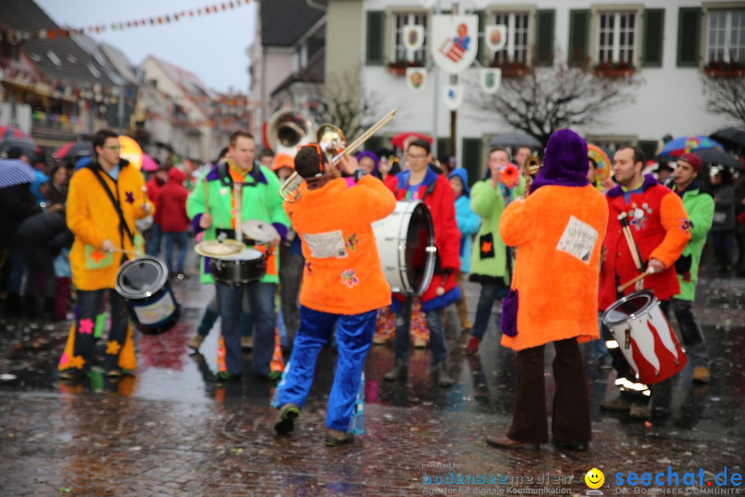 Fasnetsumzug - Fasching: Langenargen am Bodensee, 10.01.2016