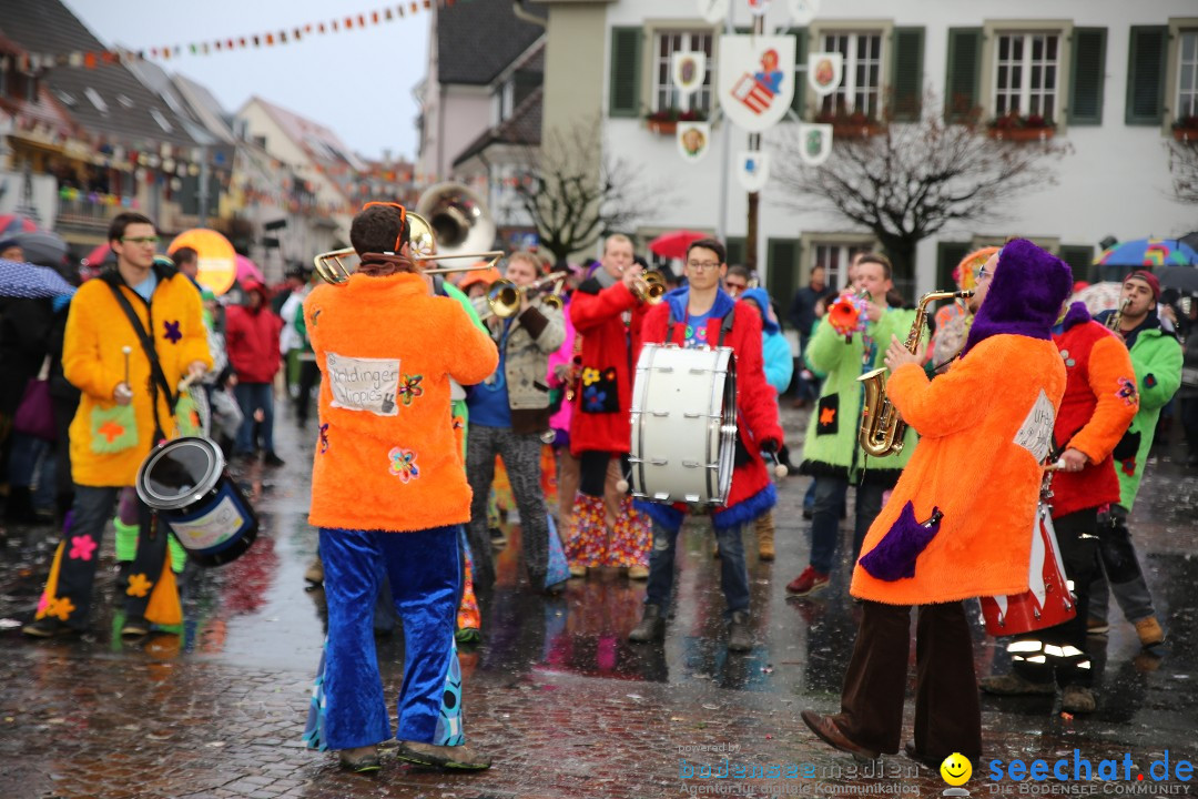 Fasnetsumzug - Fasching: Langenargen am Bodensee, 10.01.2016