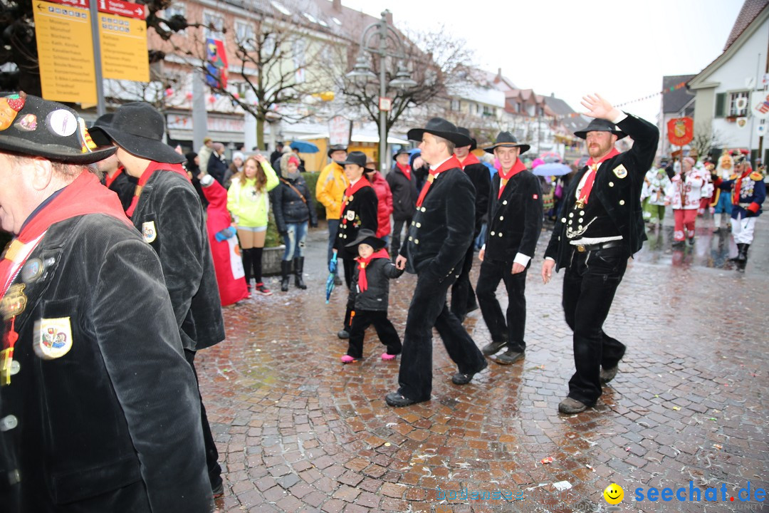 Fasnetsumzug - Fasching: Langenargen am Bodensee, 10.01.2016