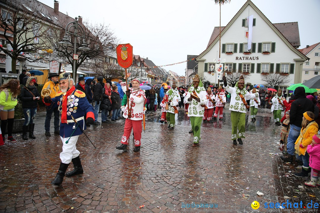 Fasnetsumzug - Fasching: Langenargen am Bodensee, 10.01.2016