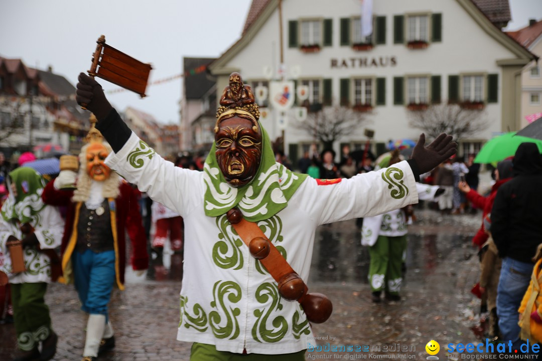 Fasnetsumzug - Fasching: Langenargen am Bodensee, 10.01.2016