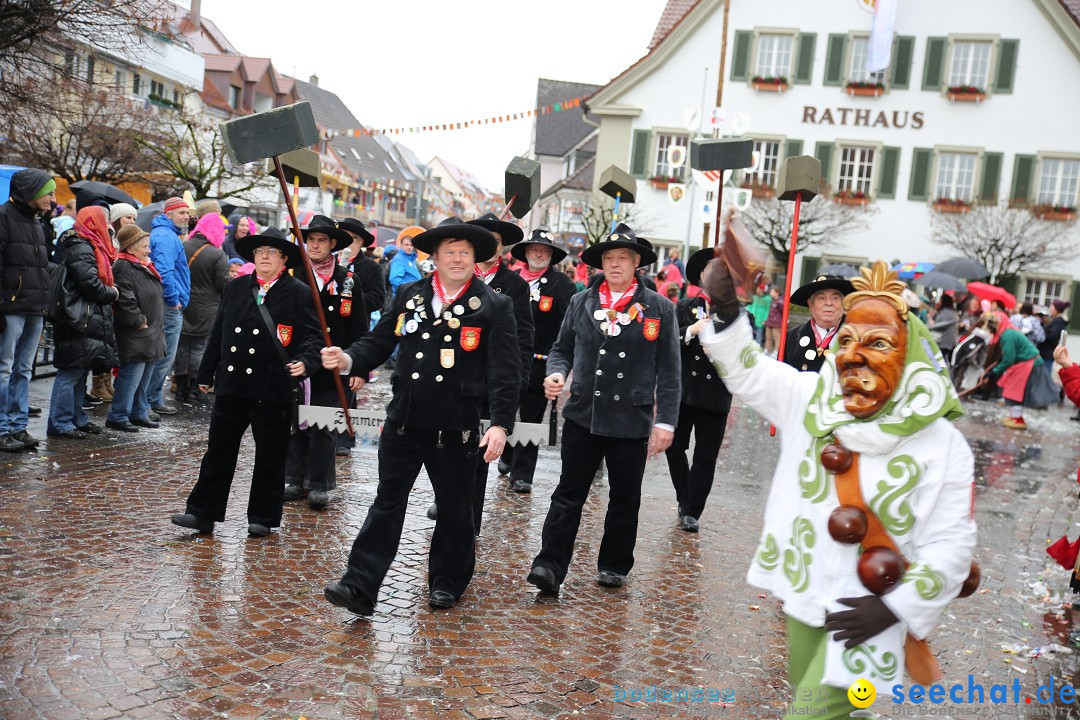 Fasnetsumzug - Fasching: Langenargen am Bodensee, 10.01.2016