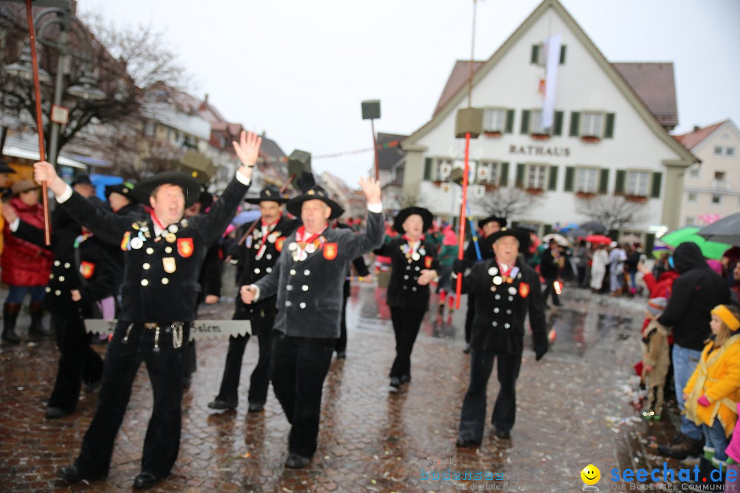 Fasnetsumzug - Fasching: Langenargen am Bodensee, 10.01.2016