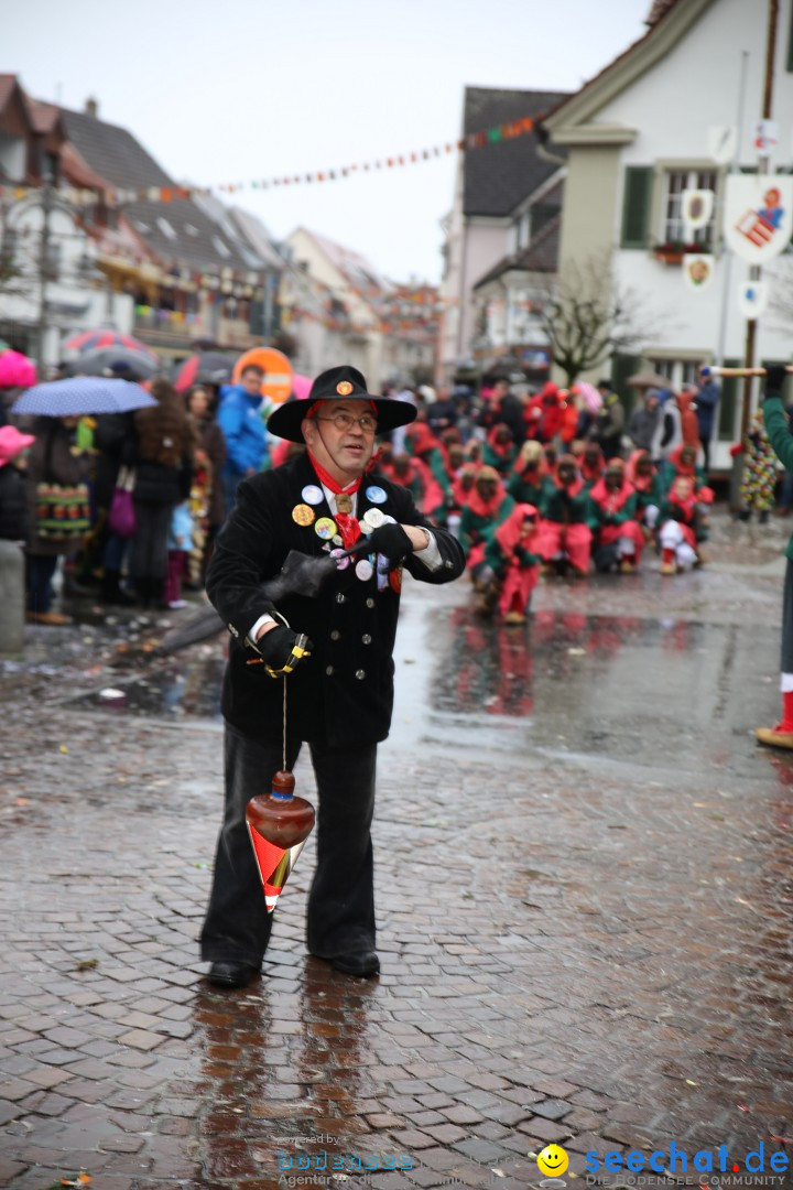 Fasnetsumzug - Fasching: Langenargen am Bodensee, 10.01.2016