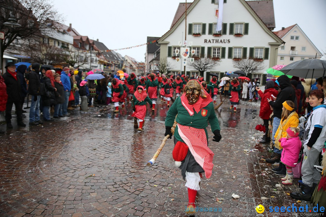 Fasnetsumzug - Fasching: Langenargen am Bodensee, 10.01.2016