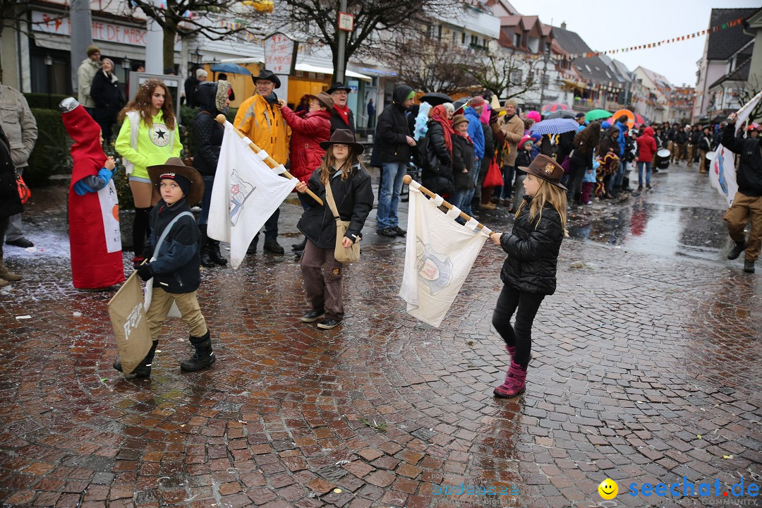 Fasnetsumzug - Fasching: Langenargen am Bodensee, 10.01.2016