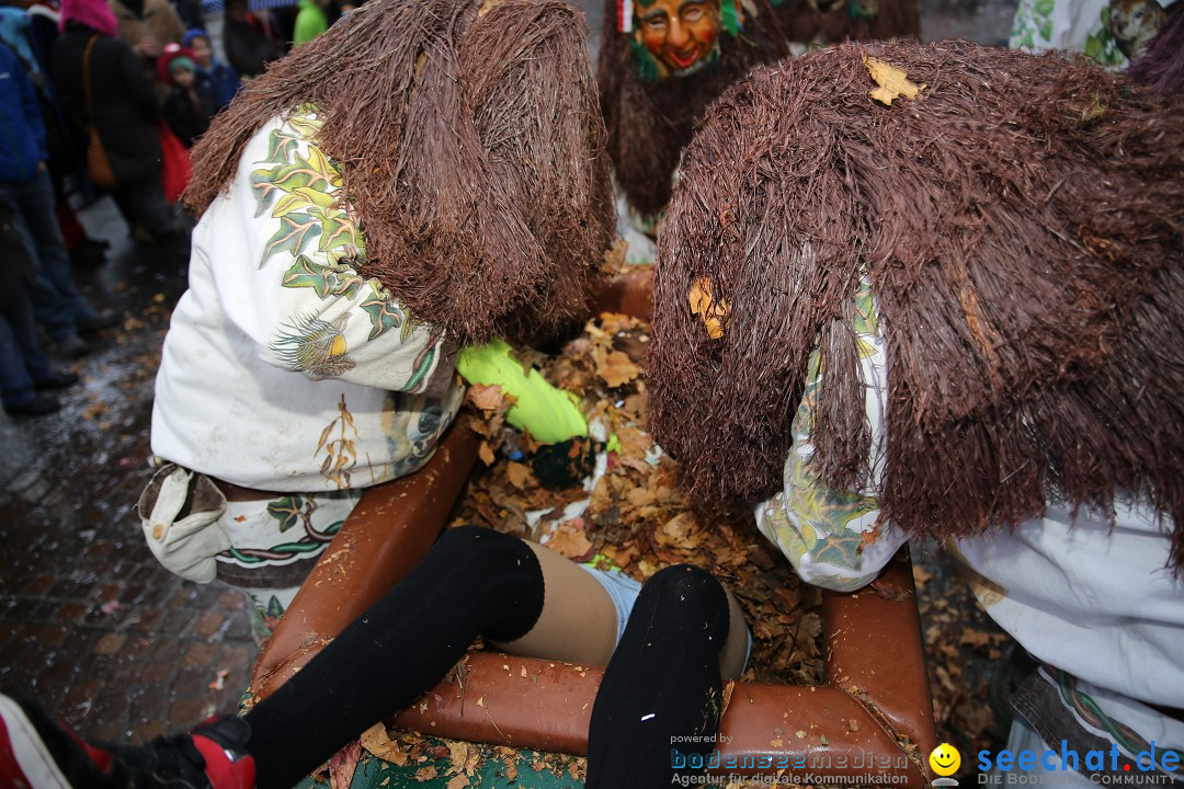 Fasnetsumzug - Fasching: Langenargen am Bodensee, 10.01.2016