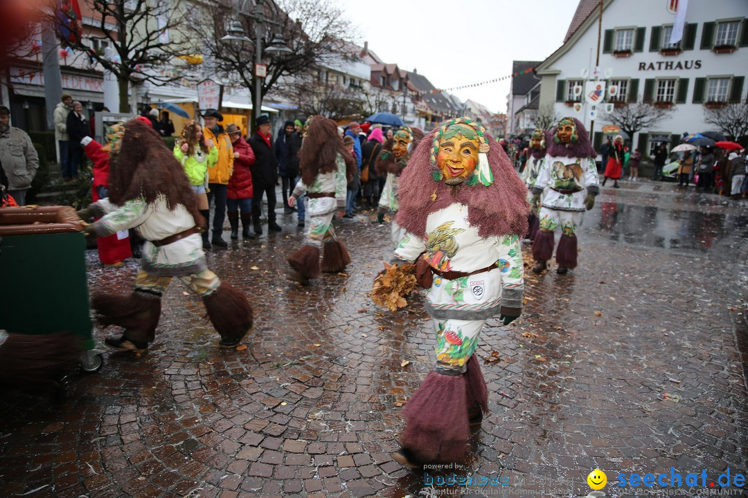 Fasnetsumzug - Fasching: Langenargen am Bodensee, 10.01.2016