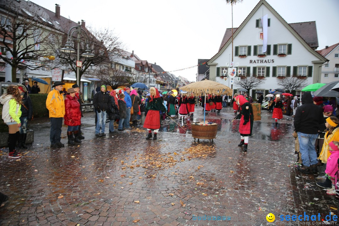 Fasnetsumzug - Fasching: Langenargen am Bodensee, 10.01.2016