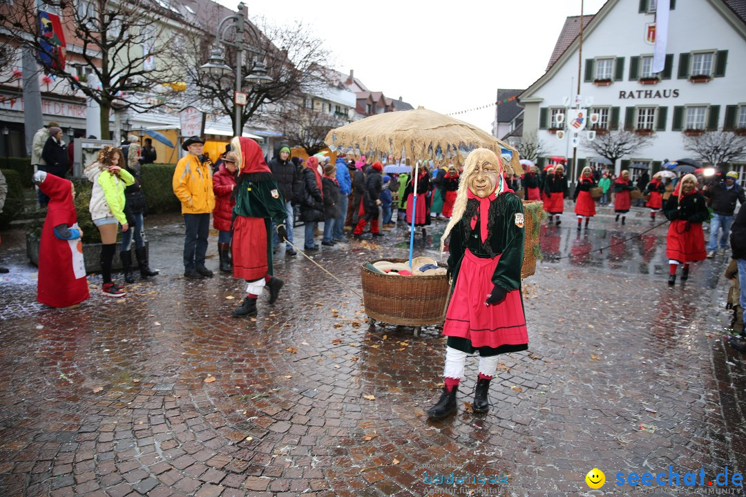 Fasnetsumzug - Fasching: Langenargen am Bodensee, 10.01.2016