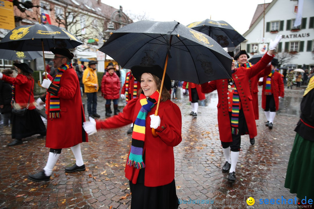 Fasnetsumzug - Fasching: Langenargen am Bodensee, 10.01.2016