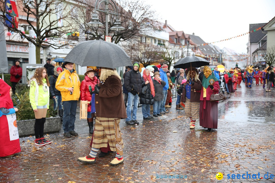 Fasnetsumzug - Fasching: Langenargen am Bodensee, 10.01.2016