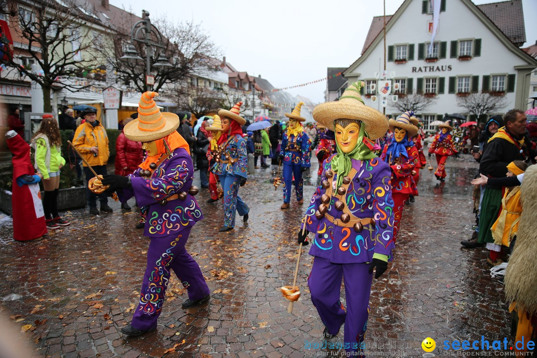 Fasnetsumzug - Fasching: Langenargen am Bodensee, 10.01.2016