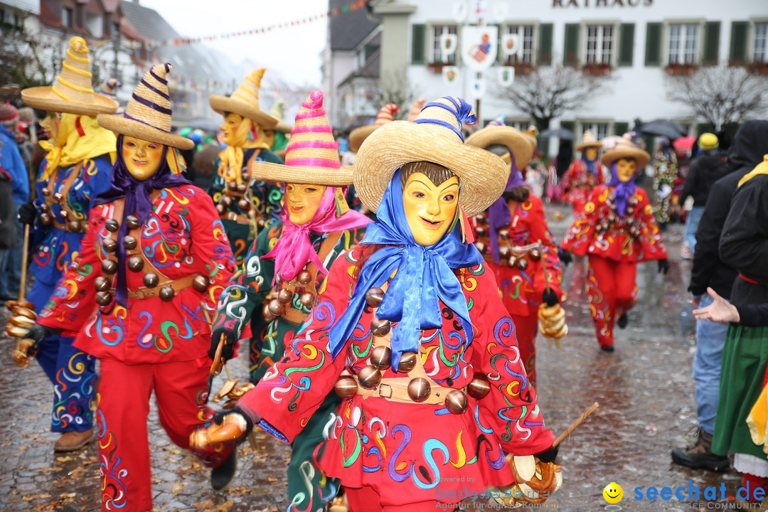 Fasnetsumzug - Fasching: Langenargen am Bodensee, 10.01.2016