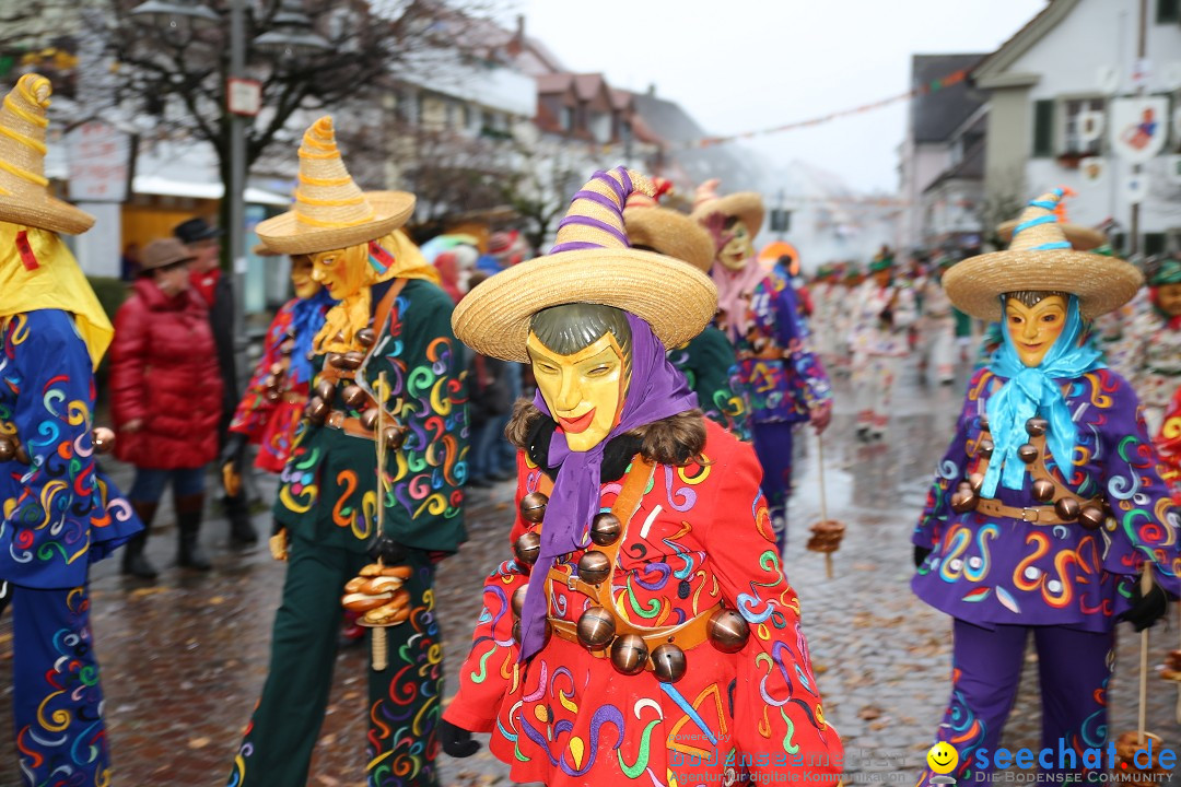 Fasnetsumzug - Fasching: Langenargen am Bodensee, 10.01.2016