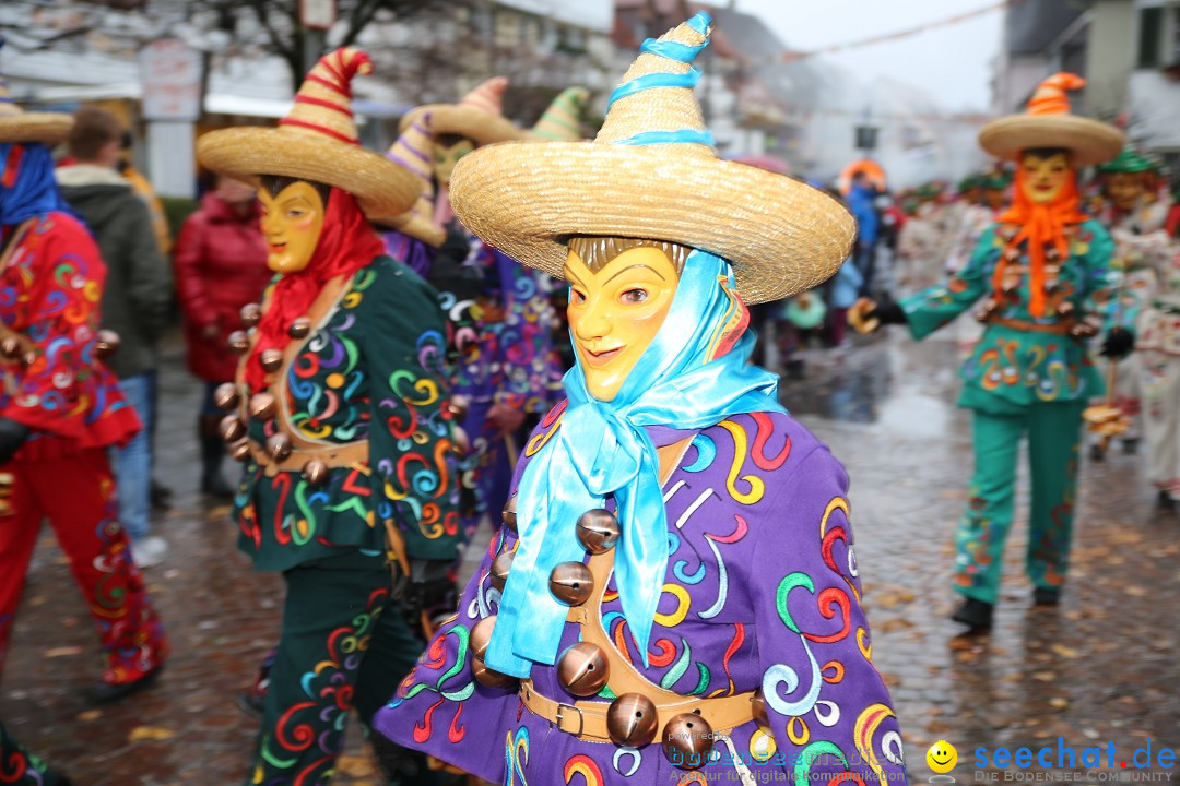 Fasnetsumzug - Fasching: Langenargen am Bodensee, 10.01.2016