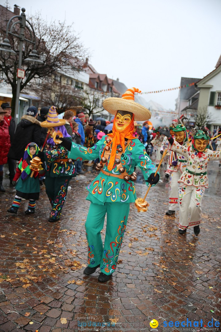 Fasnetsumzug - Fasching: Langenargen am Bodensee, 10.01.2016