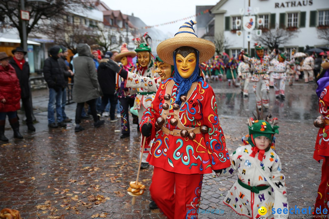 Fasnetsumzug - Fasching: Langenargen am Bodensee, 10.01.2016