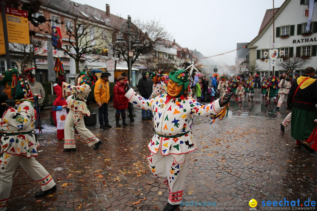 Fasnetsumzug - Fasching: Langenargen am Bodensee, 10.01.2016