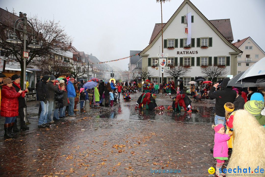 Fasnetsumzug - Fasching: Langenargen am Bodensee, 10.01.2016