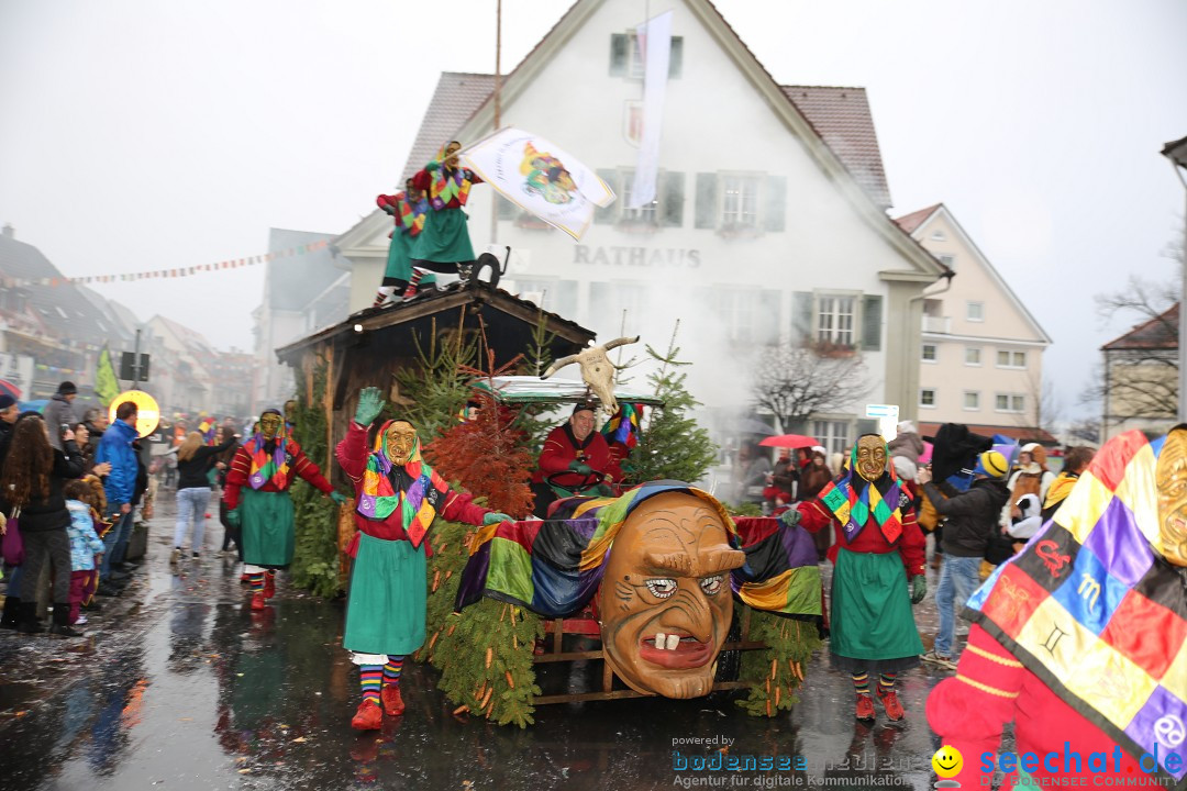 Fasnetsumzug - Fasching: Langenargen am Bodensee, 10.01.2016