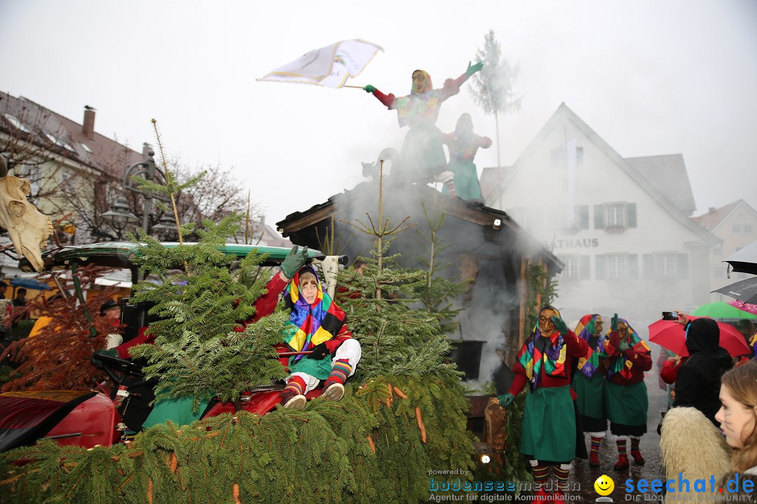 Fasnetsumzug - Fasching: Langenargen am Bodensee, 10.01.2016