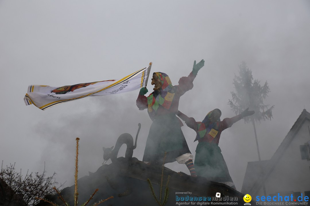 Fasnetsumzug - Fasching: Langenargen am Bodensee, 10.01.2016