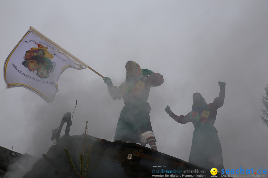 Fasnetsumzug - Fasching: Langenargen am Bodensee, 10.01.2016