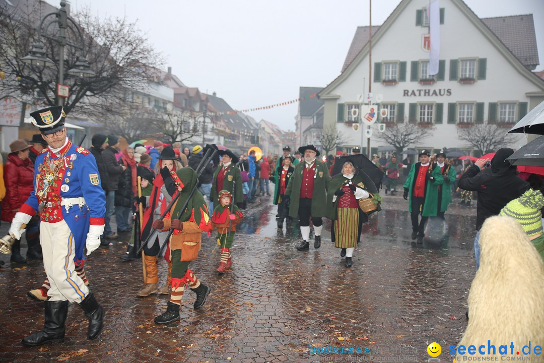 Fasnetsumzug - Fasching: Langenargen am Bodensee, 10.01.2016