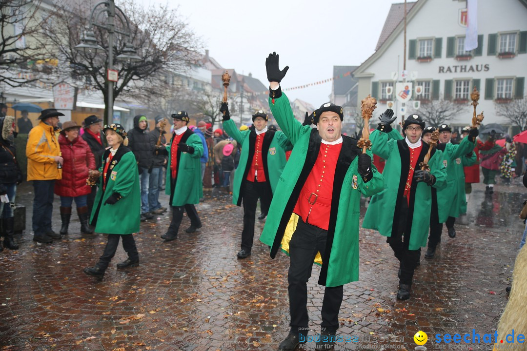 Fasnetsumzug - Fasching: Langenargen am Bodensee, 10.01.2016