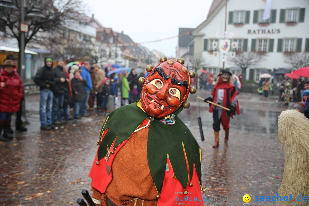 Fasnetsumzug - Fasching: Langenargen am Bodensee, 10.01.2016