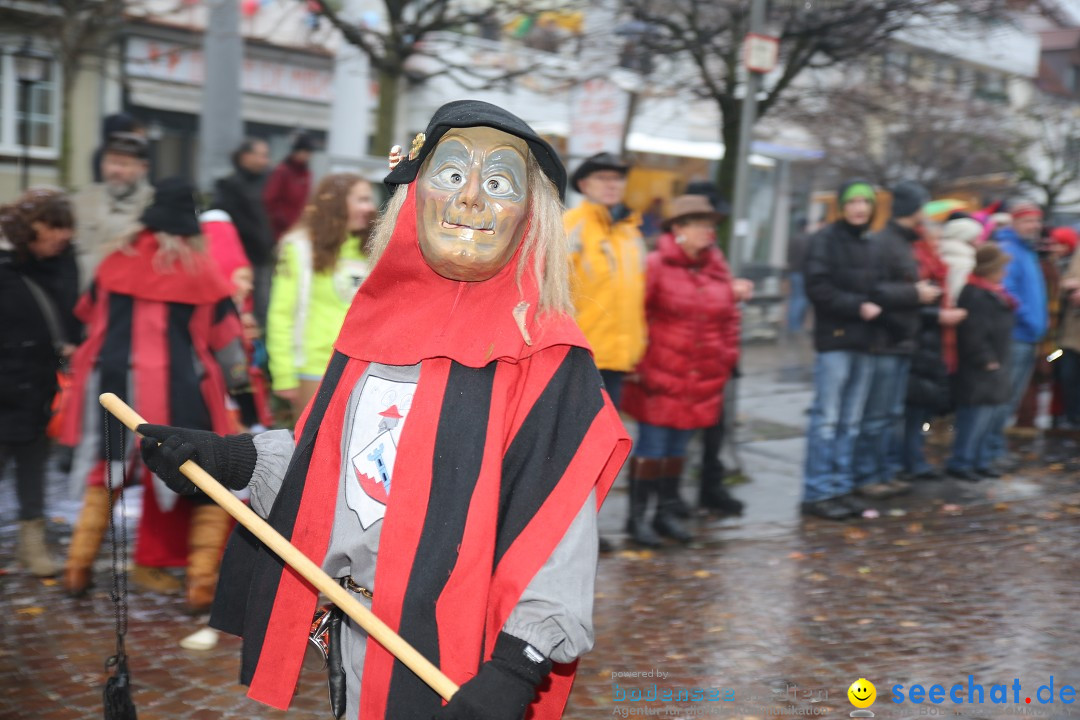 Fasnetsumzug - Fasching: Langenargen am Bodensee, 10.01.2016