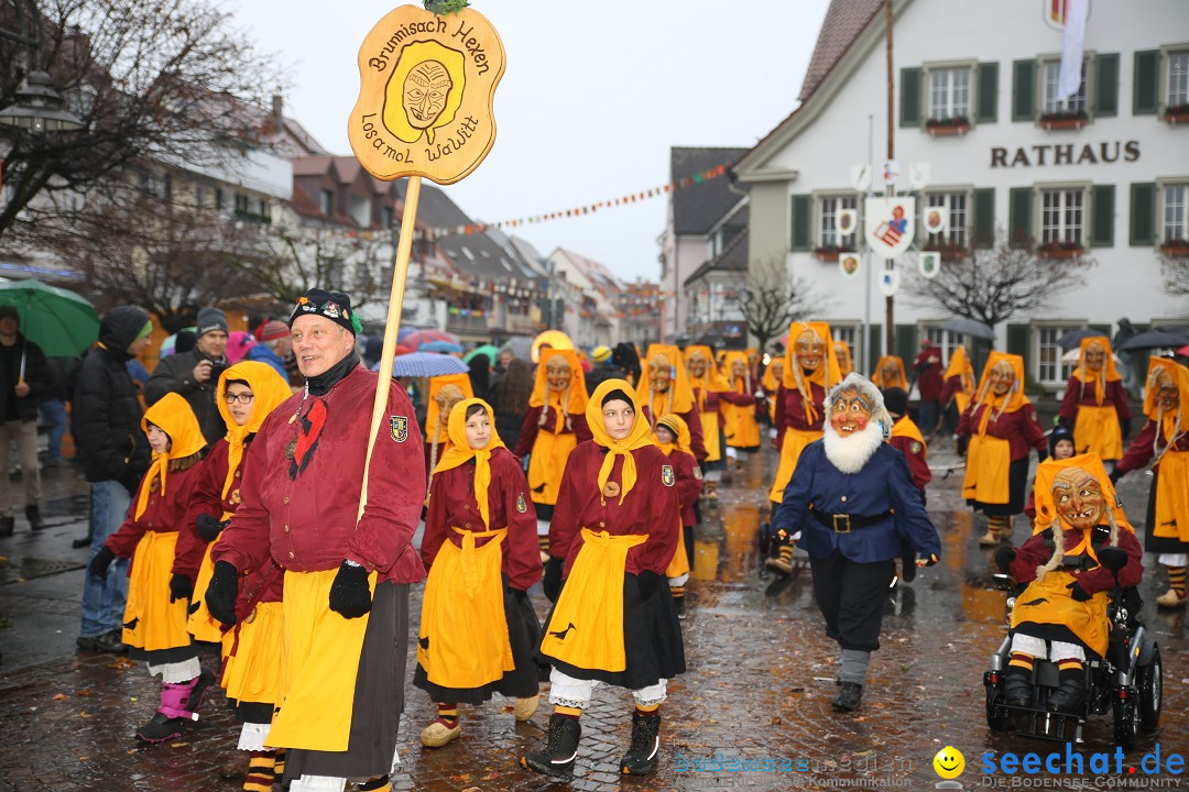 Fasnetsumzug - Fasching: Langenargen am Bodensee, 10.01.2016