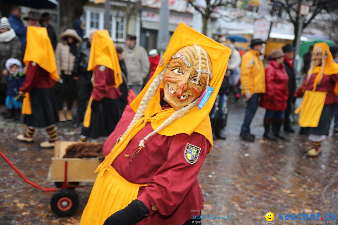 Fasnetsumzug - Fasching: Langenargen am Bodensee, 10.01.2016