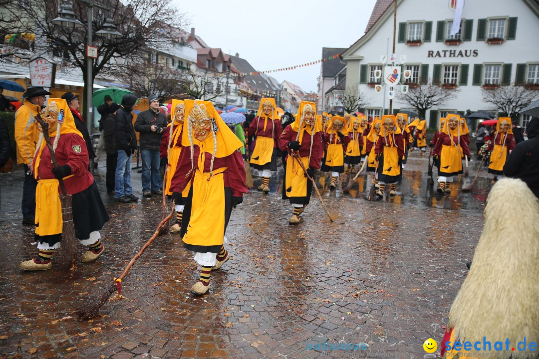 Fasnetsumzug - Fasching: Langenargen am Bodensee, 10.01.2016