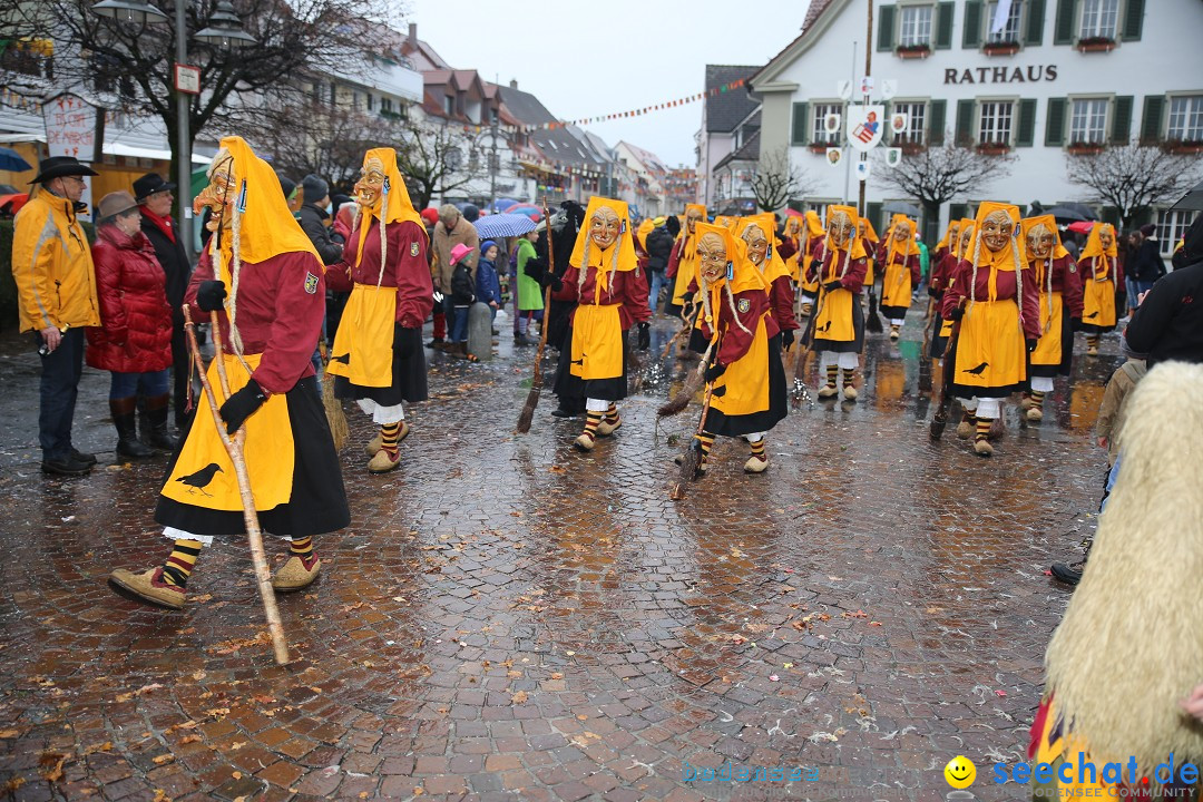 Fasnetsumzug - Fasching: Langenargen am Bodensee, 10.01.2016