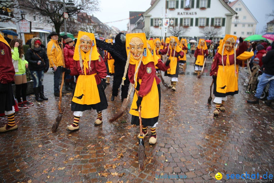 Fasnetsumzug - Fasching: Langenargen am Bodensee, 10.01.2016