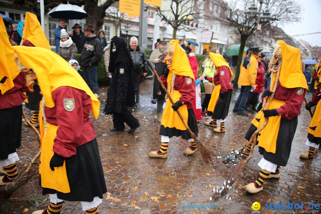 Fasnetsumzug - Fasching: Langenargen am Bodensee, 10.01.2016